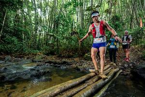 BIB: 
                            <button type="button" onclick="openModal(26504140)" class="btn btn-primary btn-sm float-right btn-popup" data-toggle="modal" data-target=".modal-high-quality">
                        <i class="fas fa-shopping-cart"></i> Add to Cart
                    </button>
                                            <button type="button" onclick="isThisMe(26504140, true)" class="btn btn-success btn-sm float-right btn-popup btn-isme hidden" data-toggle="tooltip" data-placement="bottom" title="นี่คือรูปของคุณใช่ไหม คลิกที่นี่เพื่อเอาเข้าอัลบั้ม">
                        <i class="fas fa-plus"></i> Add to album
                    </button>
                    <button type="button" onclick="isThisMe(26504140, false)" class="btn btn-warning btn-sm float-right btn-popup btn-isnotme hidden">
                        <i class="fas fa-ban"></i> Remove from album
                    </button>