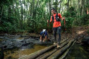 BIB: 
                            <button type="button" onclick="openModal(26442814)" class="btn btn-primary btn-sm float-right btn-popup" data-toggle="modal" data-target=".modal-high-quality">
                        <i class="fas fa-shopping-cart"></i> Add to Cart
                    </button>
                                            <button type="button" onclick="isThisMe(26442814, true)" class="btn btn-success btn-sm float-right btn-popup btn-isme hidden" data-toggle="tooltip" data-placement="bottom" title="นี่คือรูปของคุณใช่ไหม คลิกที่นี่เพื่อเอาเข้าอัลบั้ม">
                        <i class="fas fa-plus"></i> Add to album
                    </button>
                    <button type="button" onclick="isThisMe(26442814, false)" class="btn btn-warning btn-sm float-right btn-popup btn-isnotme hidden">
                        <i class="fas fa-ban"></i> Remove from album
                    </button>