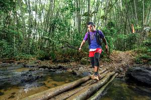 BIB: 
                            <button type="button" onclick="openModal(26502618)" class="btn btn-primary btn-sm float-right btn-popup" data-toggle="modal" data-target=".modal-high-quality">
                        <i class="fas fa-shopping-cart"></i> Add to Cart
                    </button>
                                            <button type="button" onclick="isThisMe(26502618, true)" class="btn btn-success btn-sm float-right btn-popup btn-isme hidden" data-toggle="tooltip" data-placement="bottom" title="นี่คือรูปของคุณใช่ไหม คลิกที่นี่เพื่อเอาเข้าอัลบั้ม">
                        <i class="fas fa-plus"></i> Add to album
                    </button>
                    <button type="button" onclick="isThisMe(26502618, false)" class="btn btn-warning btn-sm float-right btn-popup btn-isnotme hidden">
                        <i class="fas fa-ban"></i> Remove from album
                    </button>