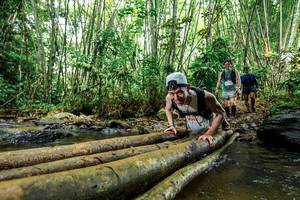 BIB: 
                            <button type="button" onclick="openModal(26503516)" class="btn btn-primary btn-sm float-right btn-popup" data-toggle="modal" data-target=".modal-high-quality">
                        <i class="fas fa-shopping-cart"></i> Add to Cart
                    </button>
                                            <button type="button" onclick="isThisMe(26503516, true)" class="btn btn-success btn-sm float-right btn-popup btn-isme hidden" data-toggle="tooltip" data-placement="bottom" title="นี่คือรูปของคุณใช่ไหม คลิกที่นี่เพื่อเอาเข้าอัลบั้ม">
                        <i class="fas fa-plus"></i> Add to album
                    </button>
                    <button type="button" onclick="isThisMe(26503516, false)" class="btn btn-warning btn-sm float-right btn-popup btn-isnotme hidden">
                        <i class="fas fa-ban"></i> Remove from album
                    </button>