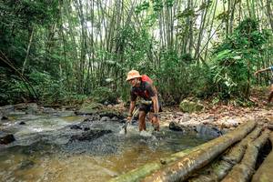 BIB: 
                            <button type="button" onclick="openModal(26434921)" class="btn btn-primary btn-sm float-right btn-popup" data-toggle="modal" data-target=".modal-high-quality">
                        <i class="fas fa-shopping-cart"></i> Add to Cart
                    </button>
                                            <button type="button" onclick="isThisMe(26434921, true)" class="btn btn-success btn-sm float-right btn-popup btn-isme hidden" data-toggle="tooltip" data-placement="bottom" title="นี่คือรูปของคุณใช่ไหม คลิกที่นี่เพื่อเอาเข้าอัลบั้ม">
                        <i class="fas fa-plus"></i> Add to album
                    </button>
                    <button type="button" onclick="isThisMe(26434921, false)" class="btn btn-warning btn-sm float-right btn-popup btn-isnotme hidden">
                        <i class="fas fa-ban"></i> Remove from album
                    </button>