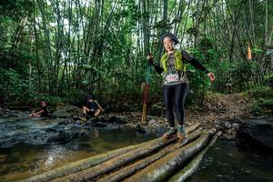 BIB: 
                            <button type="button" onclick="openModal(26489784)" class="btn btn-primary btn-sm float-right btn-popup" data-toggle="modal" data-target=".modal-high-quality">
                        <i class="fas fa-shopping-cart"></i> Add to Cart
                    </button>
                                            <button type="button" onclick="isThisMe(26489784, true)" class="btn btn-success btn-sm float-right btn-popup btn-isme hidden" data-toggle="tooltip" data-placement="bottom" title="นี่คือรูปของคุณใช่ไหม คลิกที่นี่เพื่อเอาเข้าอัลบั้ม">
                        <i class="fas fa-plus"></i> Add to album
                    </button>
                    <button type="button" onclick="isThisMe(26489784, false)" class="btn btn-warning btn-sm float-right btn-popup btn-isnotme hidden">
                        <i class="fas fa-ban"></i> Remove from album
                    </button>