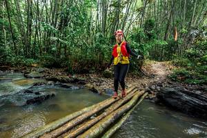 BIB: 
                            <button type="button" onclick="openModal(26496915)" class="btn btn-primary btn-sm float-right btn-popup" data-toggle="modal" data-target=".modal-high-quality">
                        <i class="fas fa-shopping-cart"></i> Add to Cart
                    </button>
                                            <button type="button" onclick="isThisMe(26496915, true)" class="btn btn-success btn-sm float-right btn-popup btn-isme hidden" data-toggle="tooltip" data-placement="bottom" title="นี่คือรูปของคุณใช่ไหม คลิกที่นี่เพื่อเอาเข้าอัลบั้ม">
                        <i class="fas fa-plus"></i> Add to album
                    </button>
                    <button type="button" onclick="isThisMe(26496915, false)" class="btn btn-warning btn-sm float-right btn-popup btn-isnotme hidden">
                        <i class="fas fa-ban"></i> Remove from album
                    </button>