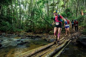 BIB: 
                            <button type="button" onclick="openModal(26504088)" class="btn btn-primary btn-sm float-right btn-popup" data-toggle="modal" data-target=".modal-high-quality">
                        <i class="fas fa-shopping-cart"></i> Add to Cart
                    </button>
                                            <button type="button" onclick="isThisMe(26504088, true)" class="btn btn-success btn-sm float-right btn-popup btn-isme hidden" data-toggle="tooltip" data-placement="bottom" title="นี่คือรูปของคุณใช่ไหม คลิกที่นี่เพื่อเอาเข้าอัลบั้ม">
                        <i class="fas fa-plus"></i> Add to album
                    </button>
                    <button type="button" onclick="isThisMe(26504088, false)" class="btn btn-warning btn-sm float-right btn-popup btn-isnotme hidden">
                        <i class="fas fa-ban"></i> Remove from album
                    </button>