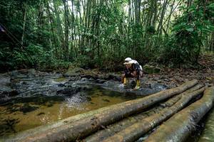 BIB: 
                            <button type="button" onclick="openModal(26433507)" class="btn btn-primary btn-sm float-right btn-popup" data-toggle="modal" data-target=".modal-high-quality">
                        <i class="fas fa-shopping-cart"></i> Add to Cart
                    </button>
                                            <button type="button" onclick="isThisMe(26433507, true)" class="btn btn-success btn-sm float-right btn-popup btn-isme hidden" data-toggle="tooltip" data-placement="bottom" title="นี่คือรูปของคุณใช่ไหม คลิกที่นี่เพื่อเอาเข้าอัลบั้ม">
                        <i class="fas fa-plus"></i> Add to album
                    </button>
                    <button type="button" onclick="isThisMe(26433507, false)" class="btn btn-warning btn-sm float-right btn-popup btn-isnotme hidden">
                        <i class="fas fa-ban"></i> Remove from album
                    </button>