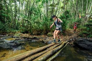 BIB: 
                            <button type="button" onclick="openModal(26503653)" class="btn btn-primary btn-sm float-right btn-popup" data-toggle="modal" data-target=".modal-high-quality">
                        <i class="fas fa-shopping-cart"></i> Add to Cart
                    </button>
                                            <button type="button" onclick="isThisMe(26503653, true)" class="btn btn-success btn-sm float-right btn-popup btn-isme hidden" data-toggle="tooltip" data-placement="bottom" title="นี่คือรูปของคุณใช่ไหม คลิกที่นี่เพื่อเอาเข้าอัลบั้ม">
                        <i class="fas fa-plus"></i> Add to album
                    </button>
                    <button type="button" onclick="isThisMe(26503653, false)" class="btn btn-warning btn-sm float-right btn-popup btn-isnotme hidden">
                        <i class="fas fa-ban"></i> Remove from album
                    </button>