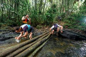 BIB: 
                            <button type="button" onclick="openModal(26446241)" class="btn btn-primary btn-sm float-right btn-popup" data-toggle="modal" data-target=".modal-high-quality">
                        <i class="fas fa-shopping-cart"></i> Add to Cart
                    </button>
                                            <button type="button" onclick="isThisMe(26446241, true)" class="btn btn-success btn-sm float-right btn-popup btn-isme hidden" data-toggle="tooltip" data-placement="bottom" title="นี่คือรูปของคุณใช่ไหม คลิกที่นี่เพื่อเอาเข้าอัลบั้ม">
                        <i class="fas fa-plus"></i> Add to album
                    </button>
                    <button type="button" onclick="isThisMe(26446241, false)" class="btn btn-warning btn-sm float-right btn-popup btn-isnotme hidden">
                        <i class="fas fa-ban"></i> Remove from album
                    </button>