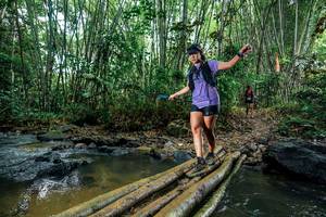 BIB: 
                            <button type="button" onclick="openModal(26478561)" class="btn btn-primary btn-sm float-right btn-popup" data-toggle="modal" data-target=".modal-high-quality">
                        <i class="fas fa-shopping-cart"></i> Add to Cart
                    </button>
                                            <button type="button" onclick="isThisMe(26478561, true)" class="btn btn-success btn-sm float-right btn-popup btn-isme hidden" data-toggle="tooltip" data-placement="bottom" title="นี่คือรูปของคุณใช่ไหม คลิกที่นี่เพื่อเอาเข้าอัลบั้ม">
                        <i class="fas fa-plus"></i> Add to album
                    </button>
                    <button type="button" onclick="isThisMe(26478561, false)" class="btn btn-warning btn-sm float-right btn-popup btn-isnotme hidden">
                        <i class="fas fa-ban"></i> Remove from album
                    </button>