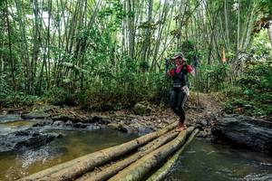 BIB: 
                            <button type="button" onclick="openModal(26460591)" class="btn btn-primary btn-sm float-right btn-popup" data-toggle="modal" data-target=".modal-high-quality">
                        <i class="fas fa-shopping-cart"></i> Add to Cart
                    </button>
                                            <button type="button" onclick="isThisMe(26460591, true)" class="btn btn-success btn-sm float-right btn-popup btn-isme hidden" data-toggle="tooltip" data-placement="bottom" title="นี่คือรูปของคุณใช่ไหม คลิกที่นี่เพื่อเอาเข้าอัลบั้ม">
                        <i class="fas fa-plus"></i> Add to album
                    </button>
                    <button type="button" onclick="isThisMe(26460591, false)" class="btn btn-warning btn-sm float-right btn-popup btn-isnotme hidden">
                        <i class="fas fa-ban"></i> Remove from album
                    </button>