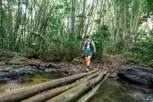 BIB: 
                            <button type="button" onclick="openModal(26437738)" class="btn btn-primary btn-sm float-right btn-popup" data-toggle="modal" data-target=".modal-high-quality">
                        <i class="fas fa-shopping-cart"></i> Add to Cart
                    </button>
                                            <button type="button" onclick="isThisMe(26437738, true)" class="btn btn-success btn-sm float-right btn-popup btn-isme hidden" data-toggle="tooltip" data-placement="bottom" title="นี่คือรูปของคุณใช่ไหม คลิกที่นี่เพื่อเอาเข้าอัลบั้ม">
                        <i class="fas fa-plus"></i> Add to album
                    </button>
                    <button type="button" onclick="isThisMe(26437738, false)" class="btn btn-warning btn-sm float-right btn-popup btn-isnotme hidden">
                        <i class="fas fa-ban"></i> Remove from album
                    </button>