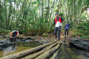 BIB: 
                            <button type="button" onclick="openModal(26443891)" class="btn btn-primary btn-sm float-right btn-popup" data-toggle="modal" data-target=".modal-high-quality">
                        <i class="fas fa-shopping-cart"></i> Add to Cart
                    </button>
                                            <button type="button" onclick="isThisMe(26443891, true)" class="btn btn-success btn-sm float-right btn-popup btn-isme hidden" data-toggle="tooltip" data-placement="bottom" title="นี่คือรูปของคุณใช่ไหม คลิกที่นี่เพื่อเอาเข้าอัลบั้ม">
                        <i class="fas fa-plus"></i> Add to album
                    </button>
                    <button type="button" onclick="isThisMe(26443891, false)" class="btn btn-warning btn-sm float-right btn-popup btn-isnotme hidden">
                        <i class="fas fa-ban"></i> Remove from album
                    </button>