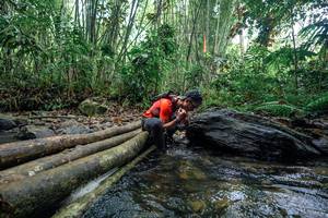 BIB: 
                            <button type="button" onclick="openModal(26425004)" class="btn btn-primary btn-sm float-right btn-popup" data-toggle="modal" data-target=".modal-high-quality">
                        <i class="fas fa-shopping-cart"></i> Add to Cart
                    </button>
                                            <button type="button" onclick="isThisMe(26425004, true)" class="btn btn-success btn-sm float-right btn-popup btn-isme hidden" data-toggle="tooltip" data-placement="bottom" title="นี่คือรูปของคุณใช่ไหม คลิกที่นี่เพื่อเอาเข้าอัลบั้ม">
                        <i class="fas fa-plus"></i> Add to album
                    </button>
                    <button type="button" onclick="isThisMe(26425004, false)" class="btn btn-warning btn-sm float-right btn-popup btn-isnotme hidden">
                        <i class="fas fa-ban"></i> Remove from album
                    </button>