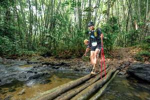 BIB: 
                            <button type="button" onclick="openModal(26445464)" class="btn btn-primary btn-sm float-right btn-popup" data-toggle="modal" data-target=".modal-high-quality">
                        <i class="fas fa-shopping-cart"></i> Add to Cart
                    </button>
                                            <button type="button" onclick="isThisMe(26445464, true)" class="btn btn-success btn-sm float-right btn-popup btn-isme hidden" data-toggle="tooltip" data-placement="bottom" title="นี่คือรูปของคุณใช่ไหม คลิกที่นี่เพื่อเอาเข้าอัลบั้ม">
                        <i class="fas fa-plus"></i> Add to album
                    </button>
                    <button type="button" onclick="isThisMe(26445464, false)" class="btn btn-warning btn-sm float-right btn-popup btn-isnotme hidden">
                        <i class="fas fa-ban"></i> Remove from album
                    </button>