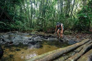 BIB: 
                            <button type="button" onclick="openModal(26434075)" class="btn btn-primary btn-sm float-right btn-popup" data-toggle="modal" data-target=".modal-high-quality">
                        <i class="fas fa-shopping-cart"></i> Add to Cart
                    </button>
                                            <button type="button" onclick="isThisMe(26434075, true)" class="btn btn-success btn-sm float-right btn-popup btn-isme hidden" data-toggle="tooltip" data-placement="bottom" title="นี่คือรูปของคุณใช่ไหม คลิกที่นี่เพื่อเอาเข้าอัลบั้ม">
                        <i class="fas fa-plus"></i> Add to album
                    </button>
                    <button type="button" onclick="isThisMe(26434075, false)" class="btn btn-warning btn-sm float-right btn-popup btn-isnotme hidden">
                        <i class="fas fa-ban"></i> Remove from album
                    </button>