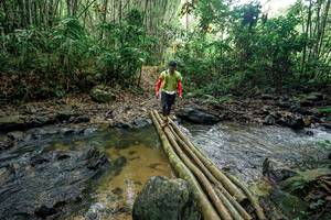 BIB: 
                            <button type="button" onclick="openModal(26501865)" class="btn btn-primary btn-sm float-right btn-popup" data-toggle="modal" data-target=".modal-high-quality">
                        <i class="fas fa-shopping-cart"></i> Add to Cart
                    </button>
                                            <button type="button" onclick="isThisMe(26501865, true)" class="btn btn-success btn-sm float-right btn-popup btn-isme hidden" data-toggle="tooltip" data-placement="bottom" title="นี่คือรูปของคุณใช่ไหม คลิกที่นี่เพื่อเอาเข้าอัลบั้ม">
                        <i class="fas fa-plus"></i> Add to album
                    </button>
                    <button type="button" onclick="isThisMe(26501865, false)" class="btn btn-warning btn-sm float-right btn-popup btn-isnotme hidden">
                        <i class="fas fa-ban"></i> Remove from album
                    </button>