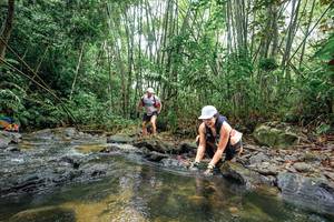 BIB: 
                            <button type="button" onclick="openModal(26458189)" class="btn btn-primary btn-sm float-right btn-popup" data-toggle="modal" data-target=".modal-high-quality">
                        <i class="fas fa-shopping-cart"></i> Add to Cart
                    </button>
                                            <button type="button" onclick="isThisMe(26458189, true)" class="btn btn-success btn-sm float-right btn-popup btn-isme hidden" data-toggle="tooltip" data-placement="bottom" title="นี่คือรูปของคุณใช่ไหม คลิกที่นี่เพื่อเอาเข้าอัลบั้ม">
                        <i class="fas fa-plus"></i> Add to album
                    </button>
                    <button type="button" onclick="isThisMe(26458189, false)" class="btn btn-warning btn-sm float-right btn-popup btn-isnotme hidden">
                        <i class="fas fa-ban"></i> Remove from album
                    </button>