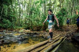 BIB: 
                            <button type="button" onclick="openModal(26503548)" class="btn btn-primary btn-sm float-right btn-popup" data-toggle="modal" data-target=".modal-high-quality">
                        <i class="fas fa-shopping-cart"></i> Add to Cart
                    </button>
                                            <button type="button" onclick="isThisMe(26503548, true)" class="btn btn-success btn-sm float-right btn-popup btn-isme hidden" data-toggle="tooltip" data-placement="bottom" title="นี่คือรูปของคุณใช่ไหม คลิกที่นี่เพื่อเอาเข้าอัลบั้ม">
                        <i class="fas fa-plus"></i> Add to album
                    </button>
                    <button type="button" onclick="isThisMe(26503548, false)" class="btn btn-warning btn-sm float-right btn-popup btn-isnotme hidden">
                        <i class="fas fa-ban"></i> Remove from album
                    </button>