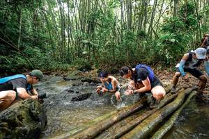 BIB: 
                            <button type="button" onclick="openModal(26434486)" class="btn btn-primary btn-sm float-right btn-popup" data-toggle="modal" data-target=".modal-high-quality">
                        <i class="fas fa-shopping-cart"></i> Add to Cart
                    </button>
                                            <button type="button" onclick="isThisMe(26434486, true)" class="btn btn-success btn-sm float-right btn-popup btn-isme hidden" data-toggle="tooltip" data-placement="bottom" title="นี่คือรูปของคุณใช่ไหม คลิกที่นี่เพื่อเอาเข้าอัลบั้ม">
                        <i class="fas fa-plus"></i> Add to album
                    </button>
                    <button type="button" onclick="isThisMe(26434486, false)" class="btn btn-warning btn-sm float-right btn-popup btn-isnotme hidden">
                        <i class="fas fa-ban"></i> Remove from album
                    </button>