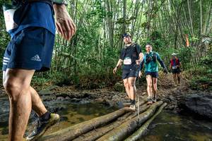 BIB: 
                            <button type="button" onclick="openModal(26503014)" class="btn btn-primary btn-sm float-right btn-popup" data-toggle="modal" data-target=".modal-high-quality">
                        <i class="fas fa-shopping-cart"></i> Add to Cart
                    </button>
                                            <button type="button" onclick="isThisMe(26503014, true)" class="btn btn-success btn-sm float-right btn-popup btn-isme hidden" data-toggle="tooltip" data-placement="bottom" title="นี่คือรูปของคุณใช่ไหม คลิกที่นี่เพื่อเอาเข้าอัลบั้ม">
                        <i class="fas fa-plus"></i> Add to album
                    </button>
                    <button type="button" onclick="isThisMe(26503014, false)" class="btn btn-warning btn-sm float-right btn-popup btn-isnotme hidden">
                        <i class="fas fa-ban"></i> Remove from album
                    </button>