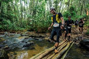 BIB: 
                            <button type="button" onclick="openModal(26446280)" class="btn btn-primary btn-sm float-right btn-popup" data-toggle="modal" data-target=".modal-high-quality">
                        <i class="fas fa-shopping-cart"></i> Add to Cart
                    </button>
                                            <button type="button" onclick="isThisMe(26446280, true)" class="btn btn-success btn-sm float-right btn-popup btn-isme hidden" data-toggle="tooltip" data-placement="bottom" title="นี่คือรูปของคุณใช่ไหม คลิกที่นี่เพื่อเอาเข้าอัลบั้ม">
                        <i class="fas fa-plus"></i> Add to album
                    </button>
                    <button type="button" onclick="isThisMe(26446280, false)" class="btn btn-warning btn-sm float-right btn-popup btn-isnotme hidden">
                        <i class="fas fa-ban"></i> Remove from album
                    </button>