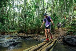 BIB: 
                            <button type="button" onclick="openModal(26466402)" class="btn btn-primary btn-sm float-right btn-popup" data-toggle="modal" data-target=".modal-high-quality">
                        <i class="fas fa-shopping-cart"></i> Add to Cart
                    </button>
                                            <button type="button" onclick="isThisMe(26466402, true)" class="btn btn-success btn-sm float-right btn-popup btn-isme hidden" data-toggle="tooltip" data-placement="bottom" title="นี่คือรูปของคุณใช่ไหม คลิกที่นี่เพื่อเอาเข้าอัลบั้ม">
                        <i class="fas fa-plus"></i> Add to album
                    </button>
                    <button type="button" onclick="isThisMe(26466402, false)" class="btn btn-warning btn-sm float-right btn-popup btn-isnotme hidden">
                        <i class="fas fa-ban"></i> Remove from album
                    </button>