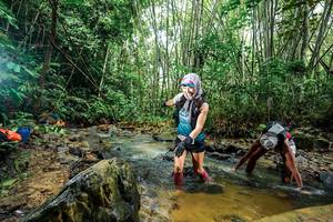 BIB: 
                            <button type="button" onclick="openModal(26505561)" class="btn btn-primary btn-sm float-right btn-popup" data-toggle="modal" data-target=".modal-high-quality">
                        <i class="fas fa-shopping-cart"></i> Add to Cart
                    </button>
                                            <button type="button" onclick="isThisMe(26505561, true)" class="btn btn-success btn-sm float-right btn-popup btn-isme hidden" data-toggle="tooltip" data-placement="bottom" title="นี่คือรูปของคุณใช่ไหม คลิกที่นี่เพื่อเอาเข้าอัลบั้ม">
                        <i class="fas fa-plus"></i> Add to album
                    </button>
                    <button type="button" onclick="isThisMe(26505561, false)" class="btn btn-warning btn-sm float-right btn-popup btn-isnotme hidden">
                        <i class="fas fa-ban"></i> Remove from album
                    </button>