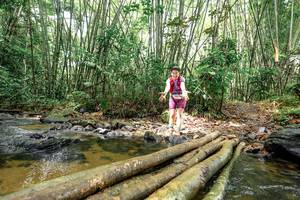 BIB: 
                            <button type="button" onclick="openModal(26439382)" class="btn btn-primary btn-sm float-right btn-popup" data-toggle="modal" data-target=".modal-high-quality">
                        <i class="fas fa-shopping-cart"></i> Add to Cart
                    </button>
                                            <button type="button" onclick="isThisMe(26439382, true)" class="btn btn-success btn-sm float-right btn-popup btn-isme hidden" data-toggle="tooltip" data-placement="bottom" title="นี่คือรูปของคุณใช่ไหม คลิกที่นี่เพื่อเอาเข้าอัลบั้ม">
                        <i class="fas fa-plus"></i> Add to album
                    </button>
                    <button type="button" onclick="isThisMe(26439382, false)" class="btn btn-warning btn-sm float-right btn-popup btn-isnotme hidden">
                        <i class="fas fa-ban"></i> Remove from album
                    </button>