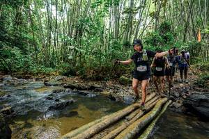 BIB: 
                            <button type="button" onclick="openModal(26446450)" class="btn btn-primary btn-sm float-right btn-popup" data-toggle="modal" data-target=".modal-high-quality">
                        <i class="fas fa-shopping-cart"></i> Add to Cart
                    </button>
                                            <button type="button" onclick="isThisMe(26446450, true)" class="btn btn-success btn-sm float-right btn-popup btn-isme hidden" data-toggle="tooltip" data-placement="bottom" title="นี่คือรูปของคุณใช่ไหม คลิกที่นี่เพื่อเอาเข้าอัลบั้ม">
                        <i class="fas fa-plus"></i> Add to album
                    </button>
                    <button type="button" onclick="isThisMe(26446450, false)" class="btn btn-warning btn-sm float-right btn-popup btn-isnotme hidden">
                        <i class="fas fa-ban"></i> Remove from album
                    </button>