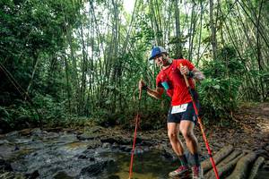 BIB: 
                            <button type="button" onclick="openModal(26443393)" class="btn btn-primary btn-sm float-right btn-popup" data-toggle="modal" data-target=".modal-high-quality">
                        <i class="fas fa-shopping-cart"></i> Add to Cart
                    </button>
                                            <button type="button" onclick="isThisMe(26443393, true)" class="btn btn-success btn-sm float-right btn-popup btn-isme hidden" data-toggle="tooltip" data-placement="bottom" title="นี่คือรูปของคุณใช่ไหม คลิกที่นี่เพื่อเอาเข้าอัลบั้ม">
                        <i class="fas fa-plus"></i> Add to album
                    </button>
                    <button type="button" onclick="isThisMe(26443393, false)" class="btn btn-warning btn-sm float-right btn-popup btn-isnotme hidden">
                        <i class="fas fa-ban"></i> Remove from album
                    </button>