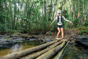 BIB: 
                            <button type="button" onclick="openModal(26434846)" class="btn btn-primary btn-sm float-right btn-popup" data-toggle="modal" data-target=".modal-high-quality">
                        <i class="fas fa-shopping-cart"></i> Add to Cart
                    </button>
                                            <button type="button" onclick="isThisMe(26434846, true)" class="btn btn-success btn-sm float-right btn-popup btn-isme hidden" data-toggle="tooltip" data-placement="bottom" title="นี่คือรูปของคุณใช่ไหม คลิกที่นี่เพื่อเอาเข้าอัลบั้ม">
                        <i class="fas fa-plus"></i> Add to album
                    </button>
                    <button type="button" onclick="isThisMe(26434846, false)" class="btn btn-warning btn-sm float-right btn-popup btn-isnotme hidden">
                        <i class="fas fa-ban"></i> Remove from album
                    </button>