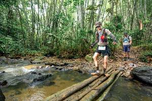 BIB: 
                            <button type="button" onclick="openModal(26445920)" class="btn btn-primary btn-sm float-right btn-popup" data-toggle="modal" data-target=".modal-high-quality">
                        <i class="fas fa-shopping-cart"></i> Add to Cart
                    </button>
                                            <button type="button" onclick="isThisMe(26445920, true)" class="btn btn-success btn-sm float-right btn-popup btn-isme hidden" data-toggle="tooltip" data-placement="bottom" title="นี่คือรูปของคุณใช่ไหม คลิกที่นี่เพื่อเอาเข้าอัลบั้ม">
                        <i class="fas fa-plus"></i> Add to album
                    </button>
                    <button type="button" onclick="isThisMe(26445920, false)" class="btn btn-warning btn-sm float-right btn-popup btn-isnotme hidden">
                        <i class="fas fa-ban"></i> Remove from album
                    </button>