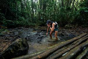 BIB: 
                            <button type="button" onclick="openModal(26434483)" class="btn btn-primary btn-sm float-right btn-popup" data-toggle="modal" data-target=".modal-high-quality">
                        <i class="fas fa-shopping-cart"></i> Add to Cart
                    </button>
                                            <button type="button" onclick="isThisMe(26434483, true)" class="btn btn-success btn-sm float-right btn-popup btn-isme hidden" data-toggle="tooltip" data-placement="bottom" title="นี่คือรูปของคุณใช่ไหม คลิกที่นี่เพื่อเอาเข้าอัลบั้ม">
                        <i class="fas fa-plus"></i> Add to album
                    </button>
                    <button type="button" onclick="isThisMe(26434483, false)" class="btn btn-warning btn-sm float-right btn-popup btn-isnotme hidden">
                        <i class="fas fa-ban"></i> Remove from album
                    </button>