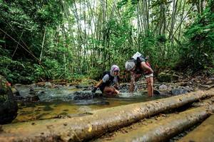 BIB: 
                            <button type="button" onclick="openModal(26505544)" class="btn btn-primary btn-sm float-right btn-popup" data-toggle="modal" data-target=".modal-high-quality">
                        <i class="fas fa-shopping-cart"></i> Add to Cart
                    </button>
                                            <button type="button" onclick="isThisMe(26505544, true)" class="btn btn-success btn-sm float-right btn-popup btn-isme hidden" data-toggle="tooltip" data-placement="bottom" title="นี่คือรูปของคุณใช่ไหม คลิกที่นี่เพื่อเอาเข้าอัลบั้ม">
                        <i class="fas fa-plus"></i> Add to album
                    </button>
                    <button type="button" onclick="isThisMe(26505544, false)" class="btn btn-warning btn-sm float-right btn-popup btn-isnotme hidden">
                        <i class="fas fa-ban"></i> Remove from album
                    </button>