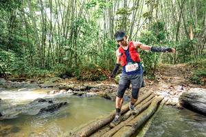 BIB: 
                            <button type="button" onclick="openModal(26448950)" class="btn btn-primary btn-sm float-right btn-popup" data-toggle="modal" data-target=".modal-high-quality">
                        <i class="fas fa-shopping-cart"></i> Add to Cart
                    </button>
                                            <button type="button" onclick="isThisMe(26448950, true)" class="btn btn-success btn-sm float-right btn-popup btn-isme hidden" data-toggle="tooltip" data-placement="bottom" title="นี่คือรูปของคุณใช่ไหม คลิกที่นี่เพื่อเอาเข้าอัลบั้ม">
                        <i class="fas fa-plus"></i> Add to album
                    </button>
                    <button type="button" onclick="isThisMe(26448950, false)" class="btn btn-warning btn-sm float-right btn-popup btn-isnotme hidden">
                        <i class="fas fa-ban"></i> Remove from album
                    </button>