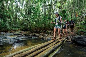 BIB: 
                            <button type="button" onclick="openModal(26464689)" class="btn btn-primary btn-sm float-right btn-popup" data-toggle="modal" data-target=".modal-high-quality">
                        <i class="fas fa-shopping-cart"></i> Add to Cart
                    </button>
                                            <button type="button" onclick="isThisMe(26464689, true)" class="btn btn-success btn-sm float-right btn-popup btn-isme hidden" data-toggle="tooltip" data-placement="bottom" title="นี่คือรูปของคุณใช่ไหม คลิกที่นี่เพื่อเอาเข้าอัลบั้ม">
                        <i class="fas fa-plus"></i> Add to album
                    </button>
                    <button type="button" onclick="isThisMe(26464689, false)" class="btn btn-warning btn-sm float-right btn-popup btn-isnotme hidden">
                        <i class="fas fa-ban"></i> Remove from album
                    </button>