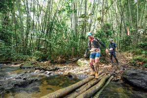 BIB: 
                            <button type="button" onclick="openModal(26440606)" class="btn btn-primary btn-sm float-right btn-popup" data-toggle="modal" data-target=".modal-high-quality">
                        <i class="fas fa-shopping-cart"></i> Add to Cart
                    </button>
                                            <button type="button" onclick="isThisMe(26440606, true)" class="btn btn-success btn-sm float-right btn-popup btn-isme hidden" data-toggle="tooltip" data-placement="bottom" title="นี่คือรูปของคุณใช่ไหม คลิกที่นี่เพื่อเอาเข้าอัลบั้ม">
                        <i class="fas fa-plus"></i> Add to album
                    </button>
                    <button type="button" onclick="isThisMe(26440606, false)" class="btn btn-warning btn-sm float-right btn-popup btn-isnotme hidden">
                        <i class="fas fa-ban"></i> Remove from album
                    </button>