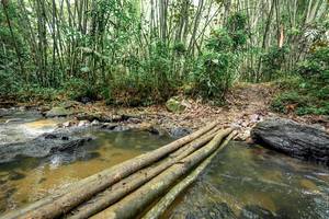 BIB: 
                            <button type="button" onclick="openModal(26446477)" class="btn btn-primary btn-sm float-right btn-popup" data-toggle="modal" data-target=".modal-high-quality">
                        <i class="fas fa-shopping-cart"></i> Add to Cart
                    </button>
                                            <button type="button" onclick="isThisMe(26446477, true)" class="btn btn-success btn-sm float-right btn-popup btn-isme hidden" data-toggle="tooltip" data-placement="bottom" title="นี่คือรูปของคุณใช่ไหม คลิกที่นี่เพื่อเอาเข้าอัลบั้ม">
                        <i class="fas fa-plus"></i> Add to album
                    </button>
                    <button type="button" onclick="isThisMe(26446477, false)" class="btn btn-warning btn-sm float-right btn-popup btn-isnotme hidden">
                        <i class="fas fa-ban"></i> Remove from album
                    </button>