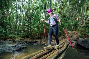 BIB: 
                            <button type="button" onclick="openModal(26489013)" class="btn btn-primary btn-sm float-right btn-popup" data-toggle="modal" data-target=".modal-high-quality">
                        <i class="fas fa-shopping-cart"></i> Add to Cart
                    </button>
                                            <button type="button" onclick="isThisMe(26489013, true)" class="btn btn-success btn-sm float-right btn-popup btn-isme hidden" data-toggle="tooltip" data-placement="bottom" title="นี่คือรูปของคุณใช่ไหม คลิกที่นี่เพื่อเอาเข้าอัลบั้ม">
                        <i class="fas fa-plus"></i> Add to album
                    </button>
                    <button type="button" onclick="isThisMe(26489013, false)" class="btn btn-warning btn-sm float-right btn-popup btn-isnotme hidden">
                        <i class="fas fa-ban"></i> Remove from album
                    </button>