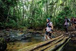 BIB: 
                            <button type="button" onclick="openModal(26504019)" class="btn btn-primary btn-sm float-right btn-popup" data-toggle="modal" data-target=".modal-high-quality">
                        <i class="fas fa-shopping-cart"></i> Add to Cart
                    </button>
                                            <button type="button" onclick="isThisMe(26504019, true)" class="btn btn-success btn-sm float-right btn-popup btn-isme hidden" data-toggle="tooltip" data-placement="bottom" title="นี่คือรูปของคุณใช่ไหม คลิกที่นี่เพื่อเอาเข้าอัลบั้ม">
                        <i class="fas fa-plus"></i> Add to album
                    </button>
                    <button type="button" onclick="isThisMe(26504019, false)" class="btn btn-warning btn-sm float-right btn-popup btn-isnotme hidden">
                        <i class="fas fa-ban"></i> Remove from album
                    </button>