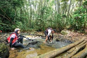 BIB: 
                            <button type="button" onclick="openModal(26447479)" class="btn btn-primary btn-sm float-right btn-popup" data-toggle="modal" data-target=".modal-high-quality">
                        <i class="fas fa-shopping-cart"></i> Add to Cart
                    </button>
                                            <button type="button" onclick="isThisMe(26447479, true)" class="btn btn-success btn-sm float-right btn-popup btn-isme hidden" data-toggle="tooltip" data-placement="bottom" title="นี่คือรูปของคุณใช่ไหม คลิกที่นี่เพื่อเอาเข้าอัลบั้ม">
                        <i class="fas fa-plus"></i> Add to album
                    </button>
                    <button type="button" onclick="isThisMe(26447479, false)" class="btn btn-warning btn-sm float-right btn-popup btn-isnotme hidden">
                        <i class="fas fa-ban"></i> Remove from album
                    </button>