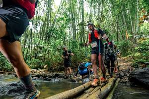 BIB: 
                            <button type="button" onclick="openModal(26462813)" class="btn btn-primary btn-sm float-right btn-popup" data-toggle="modal" data-target=".modal-high-quality">
                        <i class="fas fa-shopping-cart"></i> Add to Cart
                    </button>
                                            <button type="button" onclick="isThisMe(26462813, true)" class="btn btn-success btn-sm float-right btn-popup btn-isme hidden" data-toggle="tooltip" data-placement="bottom" title="นี่คือรูปของคุณใช่ไหม คลิกที่นี่เพื่อเอาเข้าอัลบั้ม">
                        <i class="fas fa-plus"></i> Add to album
                    </button>
                    <button type="button" onclick="isThisMe(26462813, false)" class="btn btn-warning btn-sm float-right btn-popup btn-isnotme hidden">
                        <i class="fas fa-ban"></i> Remove from album
                    </button>