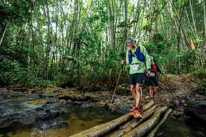 BIB: 
                            <button type="button" onclick="openModal(26504566)" class="btn btn-primary btn-sm float-right btn-popup" data-toggle="modal" data-target=".modal-high-quality">
                        <i class="fas fa-shopping-cart"></i> Add to Cart
                    </button>
                                            <button type="button" onclick="isThisMe(26504566, true)" class="btn btn-success btn-sm float-right btn-popup btn-isme hidden" data-toggle="tooltip" data-placement="bottom" title="นี่คือรูปของคุณใช่ไหม คลิกที่นี่เพื่อเอาเข้าอัลบั้ม">
                        <i class="fas fa-plus"></i> Add to album
                    </button>
                    <button type="button" onclick="isThisMe(26504566, false)" class="btn btn-warning btn-sm float-right btn-popup btn-isnotme hidden">
                        <i class="fas fa-ban"></i> Remove from album
                    </button>