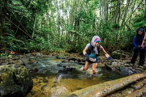 BIB: 
                            <button type="button" onclick="openModal(26505394)" class="btn btn-primary btn-sm float-right btn-popup" data-toggle="modal" data-target=".modal-high-quality">
                        <i class="fas fa-shopping-cart"></i> Add to Cart
                    </button>
                                            <button type="button" onclick="isThisMe(26505394, true)" class="btn btn-success btn-sm float-right btn-popup btn-isme hidden" data-toggle="tooltip" data-placement="bottom" title="นี่คือรูปของคุณใช่ไหม คลิกที่นี่เพื่อเอาเข้าอัลบั้ม">
                        <i class="fas fa-plus"></i> Add to album
                    </button>
                    <button type="button" onclick="isThisMe(26505394, false)" class="btn btn-warning btn-sm float-right btn-popup btn-isnotme hidden">
                        <i class="fas fa-ban"></i> Remove from album
                    </button>