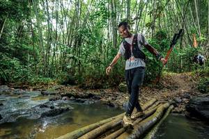 BIB: 
                            <button type="button" onclick="openModal(26466760)" class="btn btn-primary btn-sm float-right btn-popup" data-toggle="modal" data-target=".modal-high-quality">
                        <i class="fas fa-shopping-cart"></i> Add to Cart
                    </button>
                                            <button type="button" onclick="isThisMe(26466760, true)" class="btn btn-success btn-sm float-right btn-popup btn-isme hidden" data-toggle="tooltip" data-placement="bottom" title="นี่คือรูปของคุณใช่ไหม คลิกที่นี่เพื่อเอาเข้าอัลบั้ม">
                        <i class="fas fa-plus"></i> Add to album
                    </button>
                    <button type="button" onclick="isThisMe(26466760, false)" class="btn btn-warning btn-sm float-right btn-popup btn-isnotme hidden">
                        <i class="fas fa-ban"></i> Remove from album
                    </button>