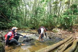 BIB: 
                            <button type="button" onclick="openModal(26447057)" class="btn btn-primary btn-sm float-right btn-popup" data-toggle="modal" data-target=".modal-high-quality">
                        <i class="fas fa-shopping-cart"></i> Add to Cart
                    </button>
                                            <button type="button" onclick="isThisMe(26447057, true)" class="btn btn-success btn-sm float-right btn-popup btn-isme hidden" data-toggle="tooltip" data-placement="bottom" title="นี่คือรูปของคุณใช่ไหม คลิกที่นี่เพื่อเอาเข้าอัลบั้ม">
                        <i class="fas fa-plus"></i> Add to album
                    </button>
                    <button type="button" onclick="isThisMe(26447057, false)" class="btn btn-warning btn-sm float-right btn-popup btn-isnotme hidden">
                        <i class="fas fa-ban"></i> Remove from album
                    </button>