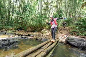 BIB: 
                            <button type="button" onclick="openModal(26446828)" class="btn btn-primary btn-sm float-right btn-popup" data-toggle="modal" data-target=".modal-high-quality">
                        <i class="fas fa-shopping-cart"></i> Add to Cart
                    </button>
                                            <button type="button" onclick="isThisMe(26446828, true)" class="btn btn-success btn-sm float-right btn-popup btn-isme hidden" data-toggle="tooltip" data-placement="bottom" title="นี่คือรูปของคุณใช่ไหม คลิกที่นี่เพื่อเอาเข้าอัลบั้ม">
                        <i class="fas fa-plus"></i> Add to album
                    </button>
                    <button type="button" onclick="isThisMe(26446828, false)" class="btn btn-warning btn-sm float-right btn-popup btn-isnotme hidden">
                        <i class="fas fa-ban"></i> Remove from album
                    </button>