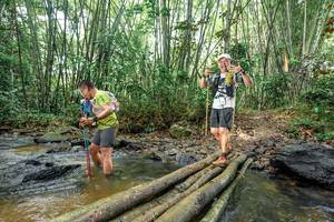 BIB: 
                            <button type="button" onclick="openModal(26444130)" class="btn btn-primary btn-sm float-right btn-popup" data-toggle="modal" data-target=".modal-high-quality">
                        <i class="fas fa-shopping-cart"></i> Add to Cart
                    </button>
                                            <button type="button" onclick="isThisMe(26444130, true)" class="btn btn-success btn-sm float-right btn-popup btn-isme hidden" data-toggle="tooltip" data-placement="bottom" title="นี่คือรูปของคุณใช่ไหม คลิกที่นี่เพื่อเอาเข้าอัลบั้ม">
                        <i class="fas fa-plus"></i> Add to album
                    </button>
                    <button type="button" onclick="isThisMe(26444130, false)" class="btn btn-warning btn-sm float-right btn-popup btn-isnotme hidden">
                        <i class="fas fa-ban"></i> Remove from album
                    </button>