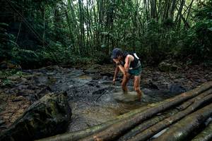 BIB: 
                            <button type="button" onclick="openModal(26434464)" class="btn btn-primary btn-sm float-right btn-popup" data-toggle="modal" data-target=".modal-high-quality">
                        <i class="fas fa-shopping-cart"></i> Add to Cart
                    </button>
                                            <button type="button" onclick="isThisMe(26434464, true)" class="btn btn-success btn-sm float-right btn-popup btn-isme hidden" data-toggle="tooltip" data-placement="bottom" title="นี่คือรูปของคุณใช่ไหม คลิกที่นี่เพื่อเอาเข้าอัลบั้ม">
                        <i class="fas fa-plus"></i> Add to album
                    </button>
                    <button type="button" onclick="isThisMe(26434464, false)" class="btn btn-warning btn-sm float-right btn-popup btn-isnotme hidden">
                        <i class="fas fa-ban"></i> Remove from album
                    </button>