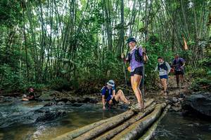 BIB: 
                            <button type="button" onclick="openModal(26490270)" class="btn btn-primary btn-sm float-right btn-popup" data-toggle="modal" data-target=".modal-high-quality">
                        <i class="fas fa-shopping-cart"></i> Add to Cart
                    </button>
                                            <button type="button" onclick="isThisMe(26490270, true)" class="btn btn-success btn-sm float-right btn-popup btn-isme hidden" data-toggle="tooltip" data-placement="bottom" title="นี่คือรูปของคุณใช่ไหม คลิกที่นี่เพื่อเอาเข้าอัลบั้ม">
                        <i class="fas fa-plus"></i> Add to album
                    </button>
                    <button type="button" onclick="isThisMe(26490270, false)" class="btn btn-warning btn-sm float-right btn-popup btn-isnotme hidden">
                        <i class="fas fa-ban"></i> Remove from album
                    </button>