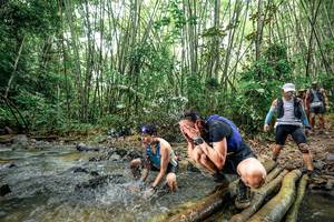 BIB: 
                            <button type="button" onclick="openModal(26433564)" class="btn btn-primary btn-sm float-right btn-popup" data-toggle="modal" data-target=".modal-high-quality">
                        <i class="fas fa-shopping-cart"></i> Add to Cart
                    </button>
                                            <button type="button" onclick="isThisMe(26433564, true)" class="btn btn-success btn-sm float-right btn-popup btn-isme hidden" data-toggle="tooltip" data-placement="bottom" title="นี่คือรูปของคุณใช่ไหม คลิกที่นี่เพื่อเอาเข้าอัลบั้ม">
                        <i class="fas fa-plus"></i> Add to album
                    </button>
                    <button type="button" onclick="isThisMe(26433564, false)" class="btn btn-warning btn-sm float-right btn-popup btn-isnotme hidden">
                        <i class="fas fa-ban"></i> Remove from album
                    </button>